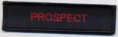 PROSPECT 